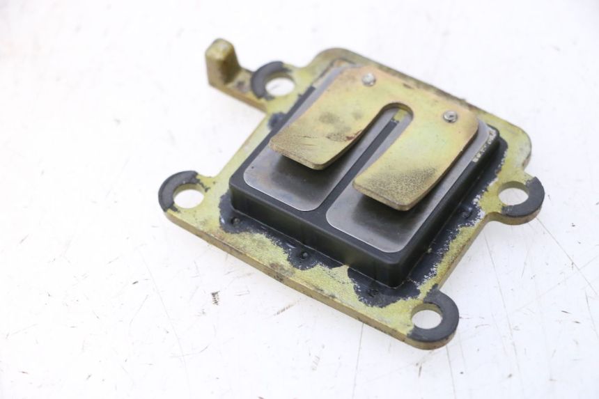 photo de REED VALVE ASSEMBLY MBK BOOSTER SPIRIT 50 (2004 - 2017) - Zoom on usage condition