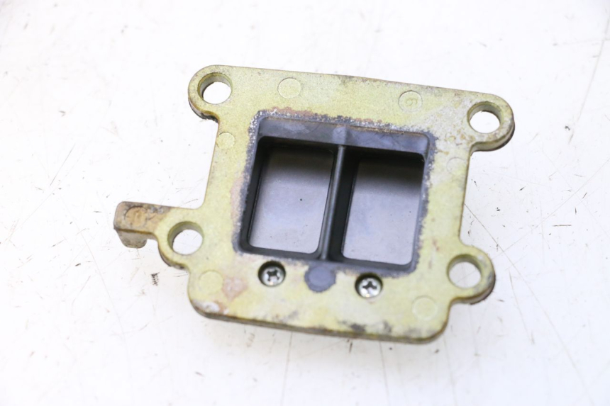 photo de REED VALVE ASSEMBLY MBK BOOSTER SPIRIT 50 (2004 - 2017) - Alternative perspective