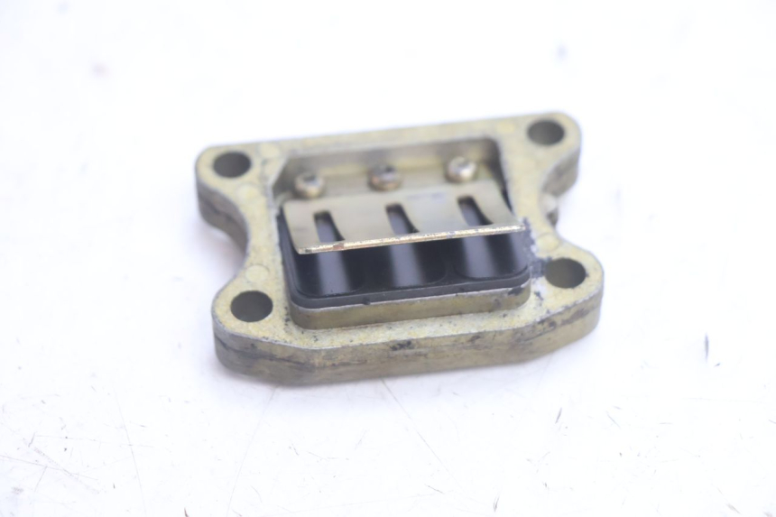 photo de REED VALVE ASSEMBLY PEUGEOT BUXY 50 (1993 - 1998) - Component detail