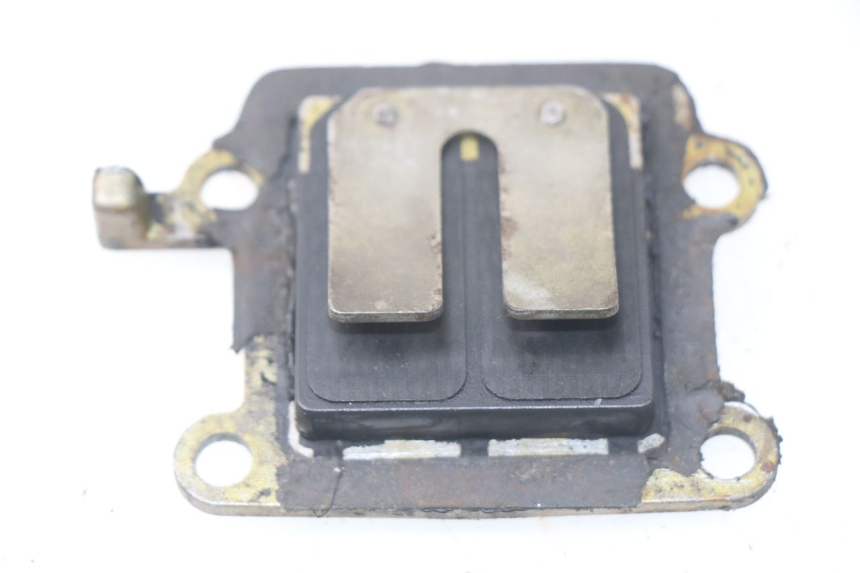 photo de REED VALVE ASSEMBLY YAMAHA BW'S 50 (1999 - 2003) - Main view