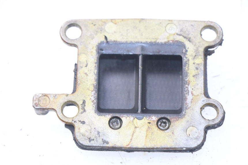 photo de REED VALVE ASSEMBLY YAMAHA BW'S 50 (1999 - 2003) - Component detail