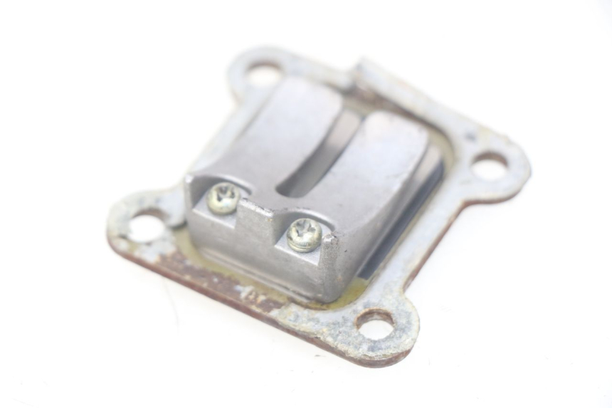 photo de REED VALVE ASSEMBLY POCKET BIKE COURSE 50 - Zoom on usage condition