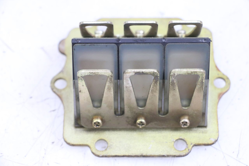 photo de INTAKE VALVE KAWASAKI KDX 125 (1990 - 1991) - Technical close-up