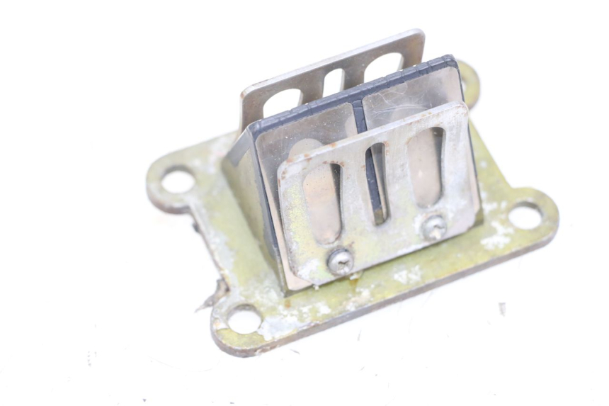 photo de REED VALVE ASSEMBLY RIEJU MRT 50 (2009 - 2017) - Main view