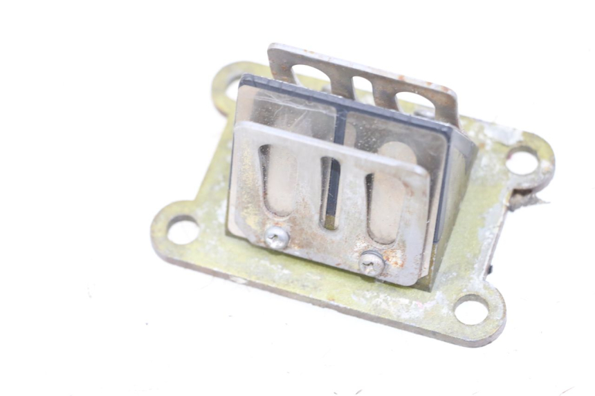 photo de REED VALVE ASSEMBLY RIEJU MRT 50 (2009 - 2017) - Alternative perspective