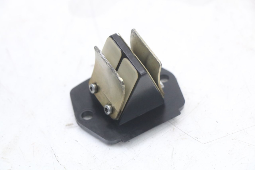 photo de REED VALVE ASSEMBLY PIAGGIO VESPA LX 2T 50 (2005 - 2013) - Main view