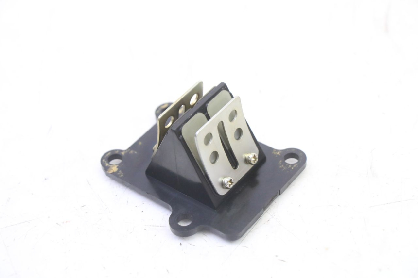 photo de REED VALVE PGO RODOSHOW 2T 50 (2003 - 2007) - Main view