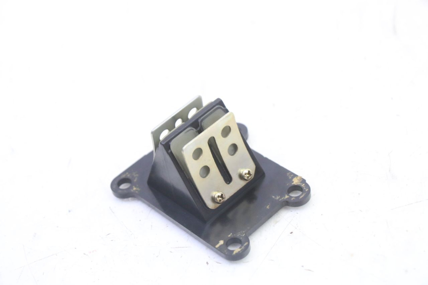 photo de REED VALVE PGO RODOSHOW 2T 50 (2003 - 2007) - Component detail