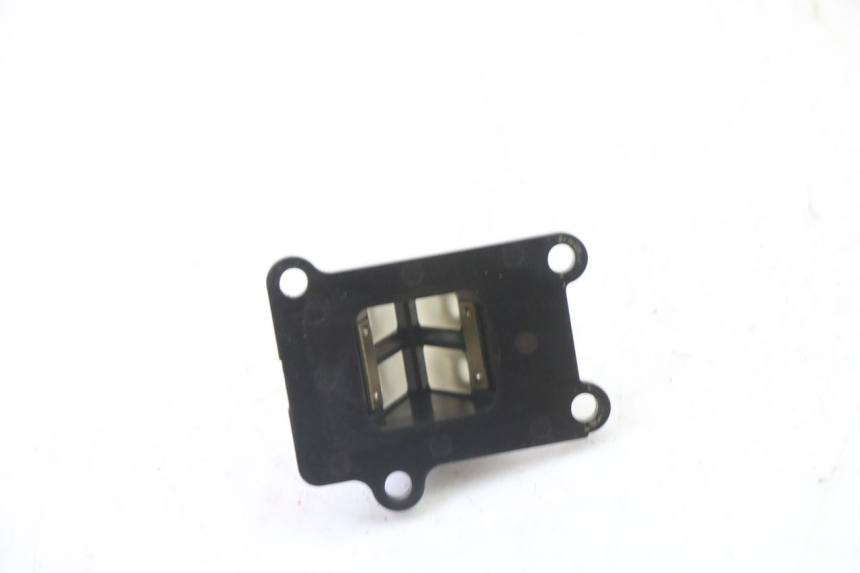 photo de REED VALVE PGO RODOSHOW 2T 50 (2003 - 2007) - Alternative perspective