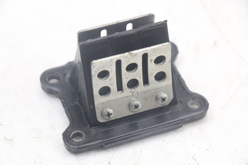 photo de REED VALVE ASSEMBLY DERBI SENDA SM X-TREME 50 (2006 - 2010) - Main view