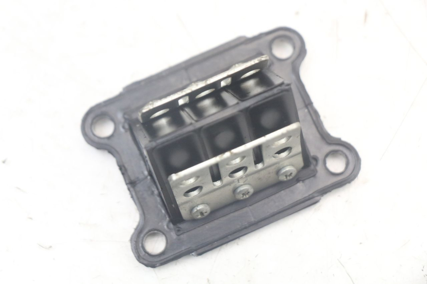 photo de REED VALVE ASSEMBLY DERBI SENDA SM X-TREME 50 (2006 - 2010) - Alternative perspective