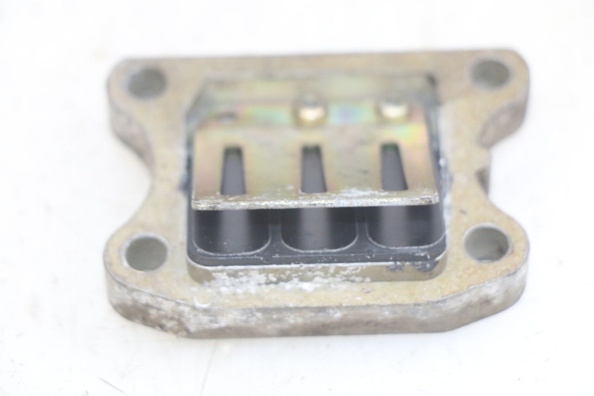 photo de REED VALVE ASSEMBLY PEUGEOT SPEEDFIGHT LC 50 (1996 - 2002) - Main view