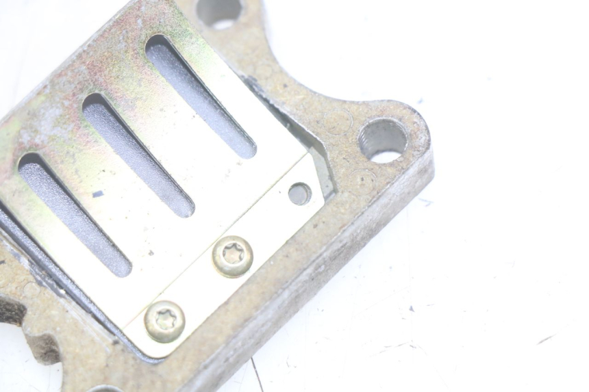 photo de REED VALVE ASSEMBLY PEUGEOT SPEEDFIGHT LC 50 (1996 - 2002) - Component detail