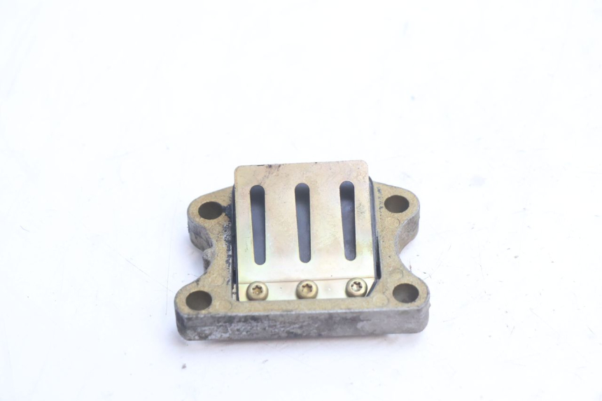 photo de REED VALVE ASSEMBLY PEUGEOT SPEEDFIGHT LC 50 (1996 - 2002) - Main view