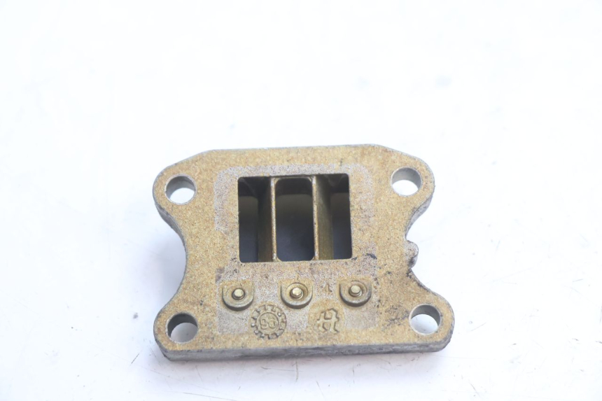 photo de REED VALVE ASSEMBLY PEUGEOT SPEEDFIGHT LC 50 (1996 - 2002) - Zoom on usage condition