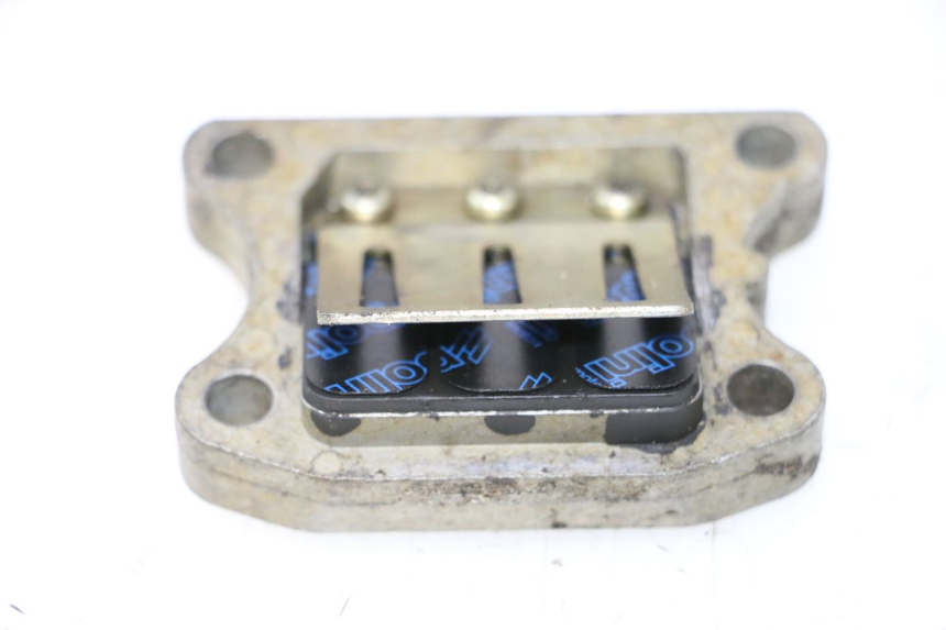 photo de REED VALVE ASSEMBLY PEUGEOT SPEEDFIGHT LC 50 (1996 - 2002) - Main view