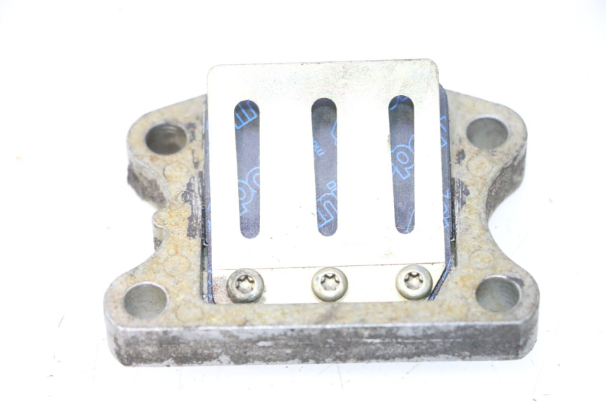 photo de REED VALVE ASSEMBLY PEUGEOT SPEEDFIGHT LC 50 (1996 - 2002) - Alternative perspective