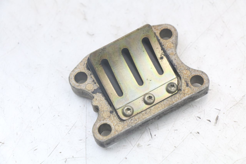 photo de REED VALVE ASSEMBLY PEUGEOT SPEEDFIGHT 100 (1997 - 2007) - Main view