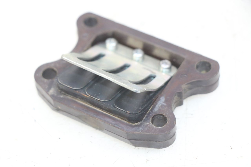 photo de REED VALVE ASSEMBLY PEUGEOT TKR TREKKER FURIOUS 50 (2005 - 2014) - Main view