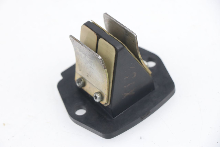 photo de REED VALVE ASSEMBLY PIAGGIO VESPA LX 2T 50 (2005 - 2013) - Main view