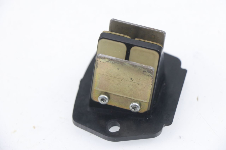 photo de REED VALVE ASSEMBLY PIAGGIO VESPA LX 2T 50 (2005 - 2013) - Zoom on usage condition