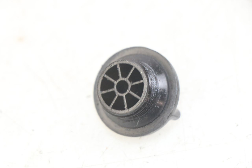 photo de OIL SUMP PLUG SUZUKI BURGMAN 650 (2002 - 2004) - Component detail