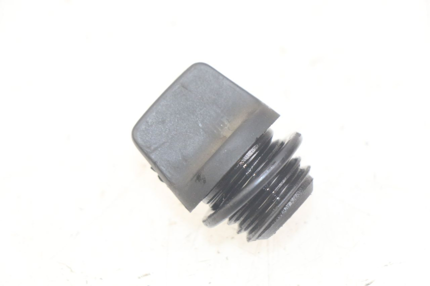photo de OIL SUMP PLUG TRIUMPH SPRINT ST 955 (1999 - 2001) - Main view