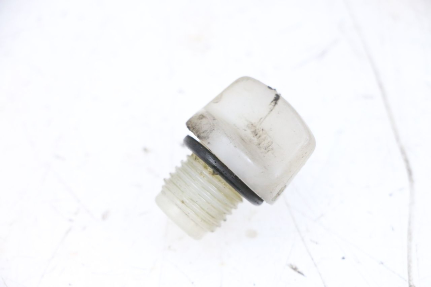 photo de REAR WHEEL SHAFT CAP YAMAHA YP MAJESTY 125 (2002 - 2006) - Main view