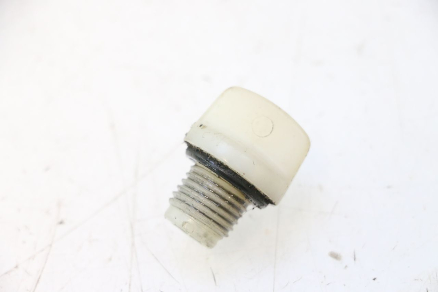 photo de REAR WHEEL SHAFT CAP YAMAHA YP MAJESTY 125 (1998 - 2001) - Main view