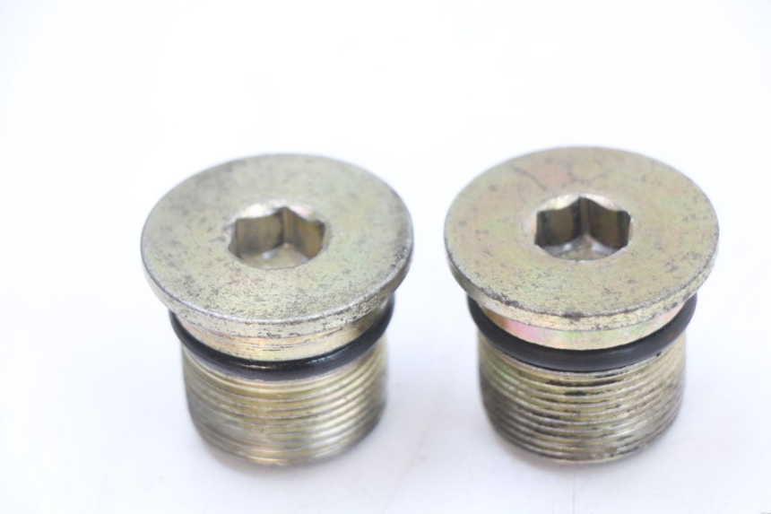 photo de FORK CAP JONWAY AZTRAL 125 (2008 - 2017) - Main view