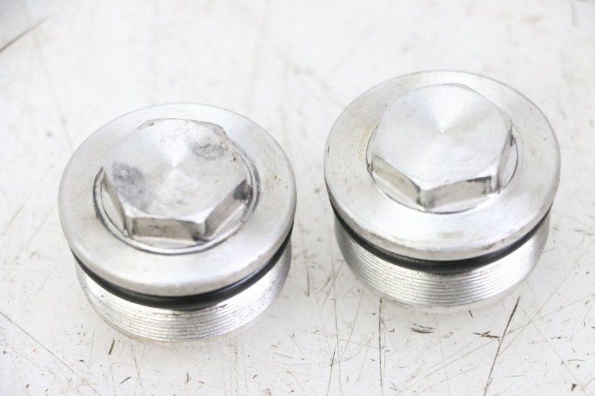 photo de FORK CAP KAWASAKI ZR7 ZR-7 S 750 (1999 - 2004) - Main view