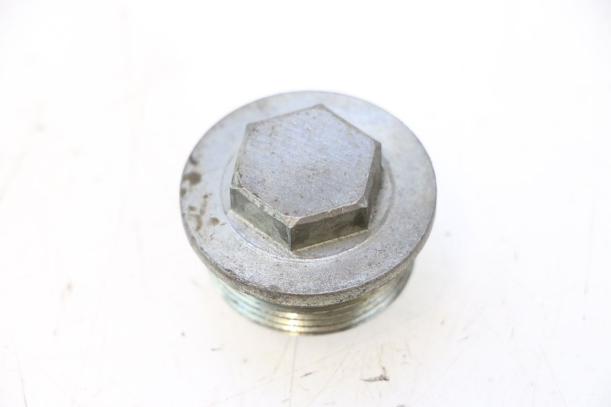 photo de FORK CAP MZ RT 125 (2000 - 2008) - Component detail