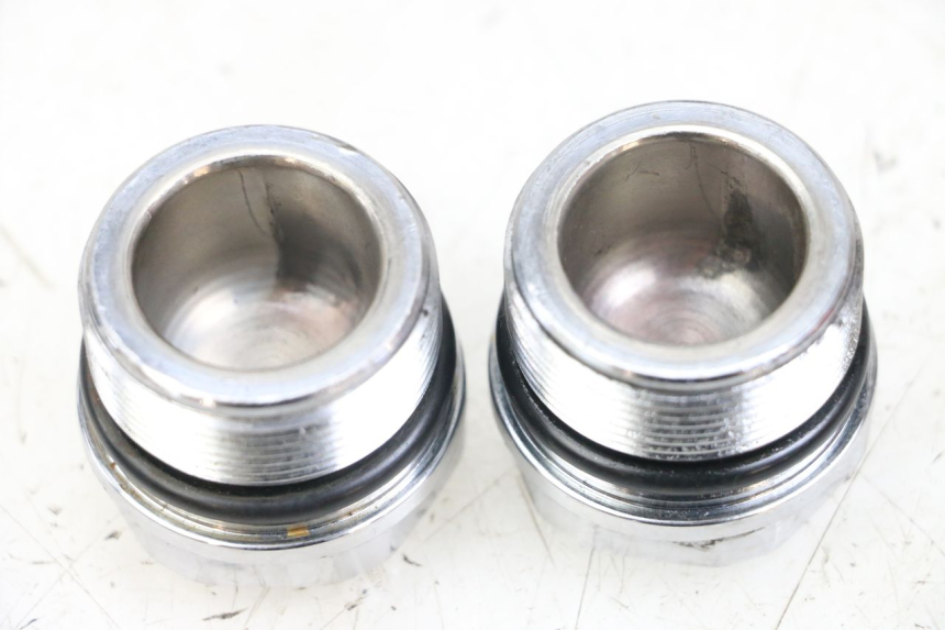 photo de FORK CAP HARLEY DAVIDSON SPORTSTER XL CUSTOM 1200 (2003 - 2004) - Alternative perspective