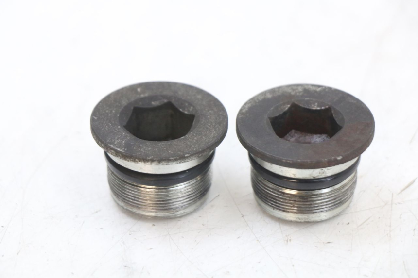 photo de FORK CAP PIAGGIO X10 125 (2012 - 2017) - Main view