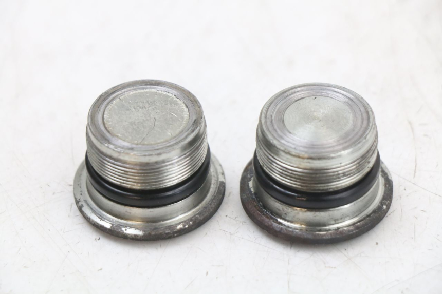 photo de FORK CAP PIAGGIO X10 125 (2012 - 2017) - Zoom on usage condition