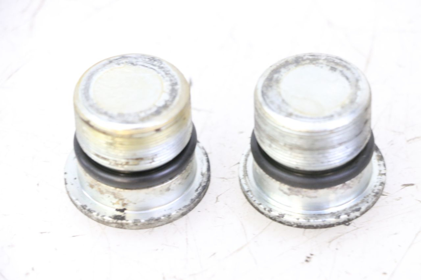 photo de FORK CAP PIAGGIO X9 EVOLUTION 125 (2003 - 2007) - Alternative perspective