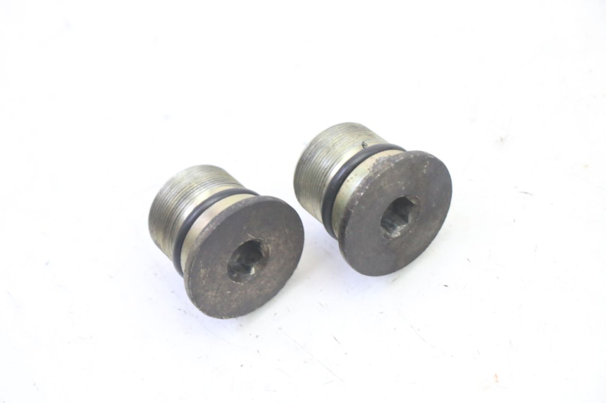 photo de FORK CAP PIAGGIO X9 EVOLUTION 125 (2003 - 2007) - Zoom on usage condition