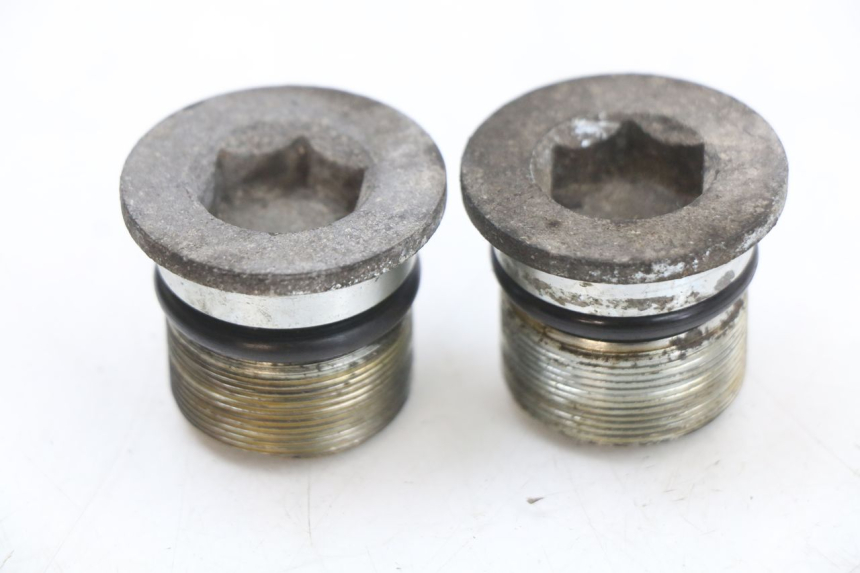 photo de FORK CAP PIAGGIO X9 125 (2000 - 2003) - Main view