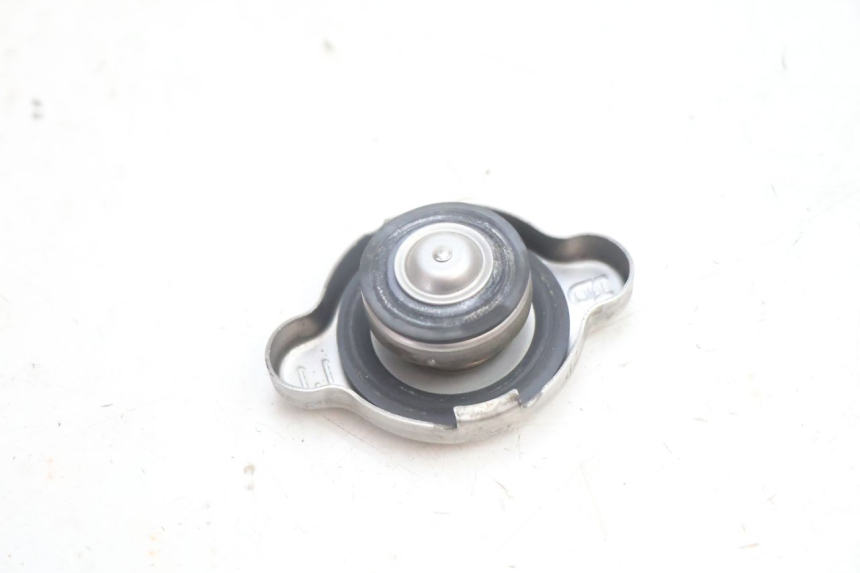 photo de RADIATOR CAP SUZUKI BURGMAN EXECUTIVE ABS 650 (2006 - 2012) - Zoom on usage condition