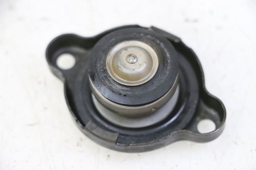 photo de RADIATOR CAP YAMAHA FZ6 N FAZER 600 (2004 - 2006) - Zoom on usage condition