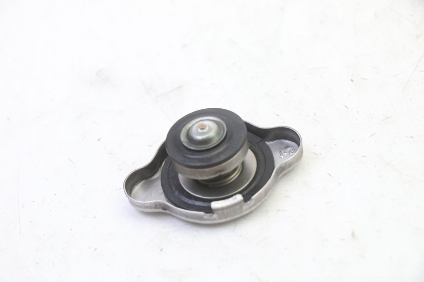photo de RADIATOR CAP BMW G310 R 310 (2016 - 2020) - Zoom on usage condition