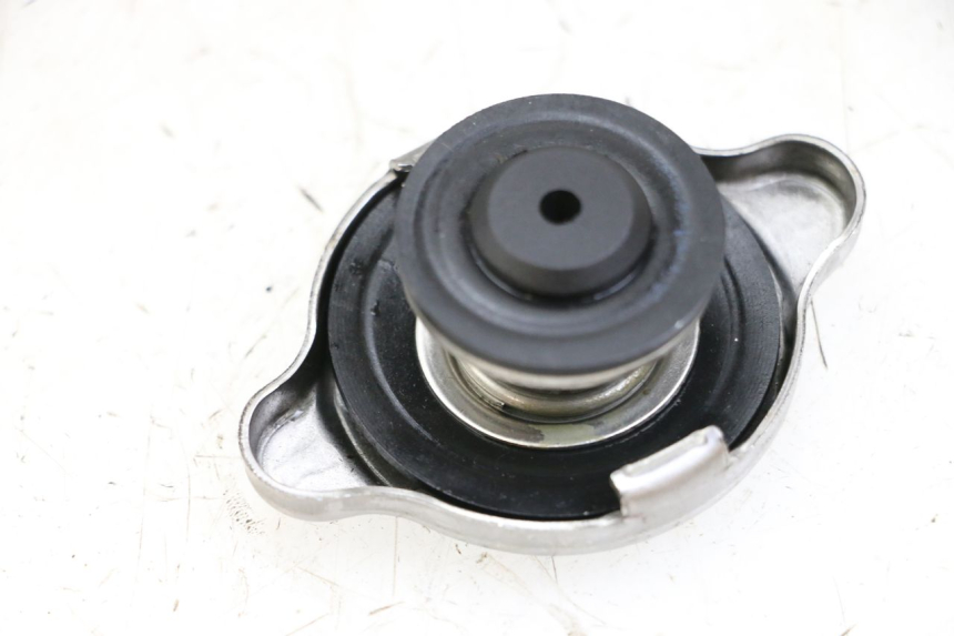 photo de RADIATOR CAP BMW S RR ABS S1000RR 1000 (2015 - 2018) - Alternative perspective