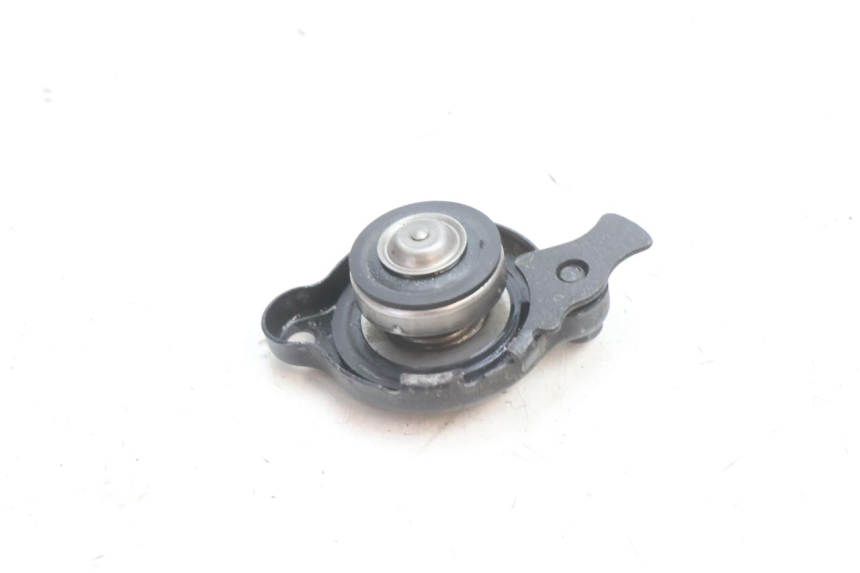 photo de RADIATOR CAP YAMAHA TDM ABS 900 (2002 - 2014) - Zoom on usage condition