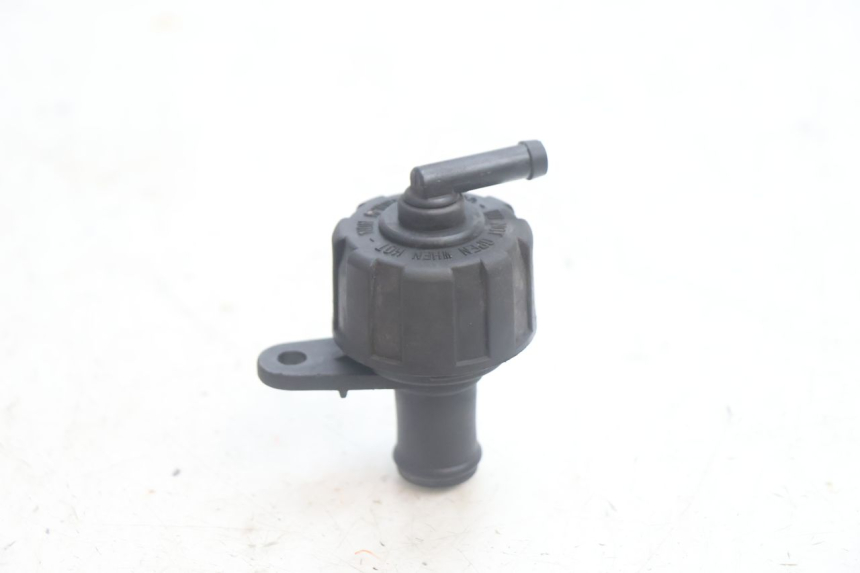 photo de RADIATOR CAP YAMAHA X-MAX XMAX 125 (2010 - 2013) - Zoom on usage condition