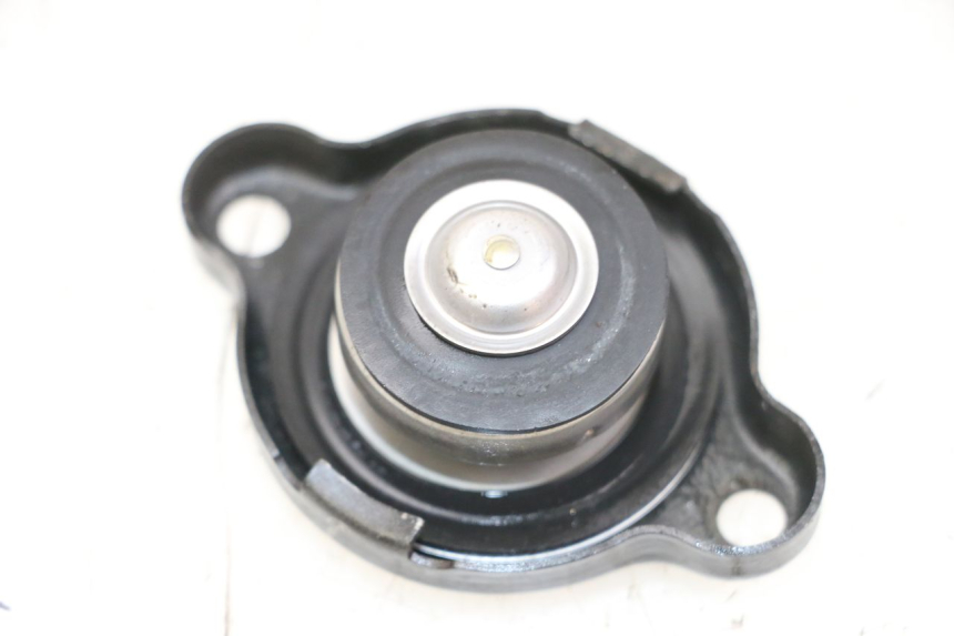 photo de RADIATOR CAP YAMAHA XJ6 ABS 600 (2008 - 2016) - Zoom on usage condition