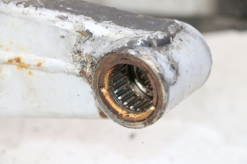 photo de SWING ARM APRILIA ETX 125 (1998 - 2002) - Zoom on usage condition