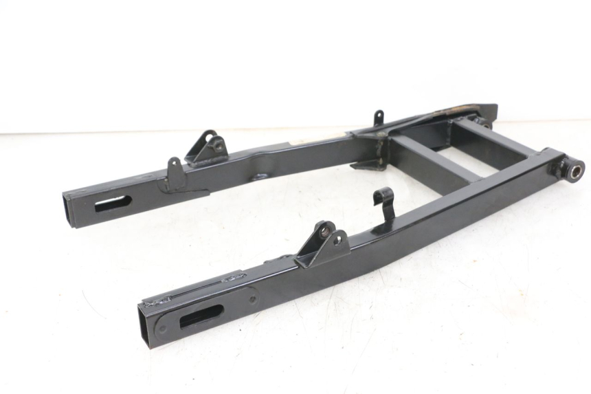 photo de SWING ARM REGAL RAPTOR RAXTER 2 125 (2007 - 2015) - Alternative perspective