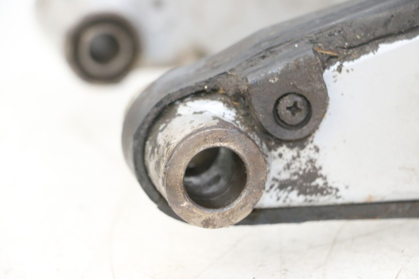 photo de SWING ARM DERBI SENDA SM DRD 50 (2008 - 2013) - Alternative perspective