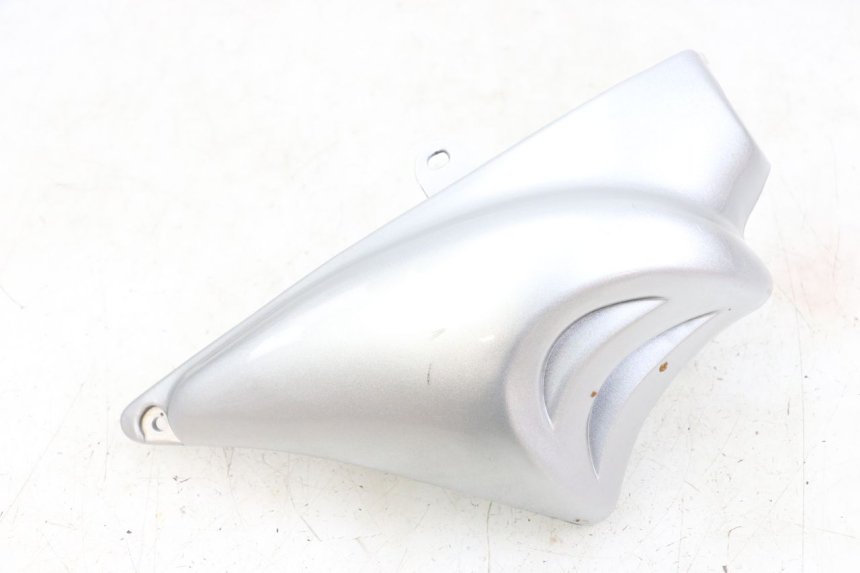 photo de Right side frame cover HYOSUNG GF 125 (2001 - 2005) - Main view