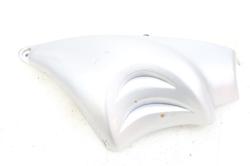 photo de Right side frame cover HYOSUNG GF 125 (2001 - 2005) - Component detail